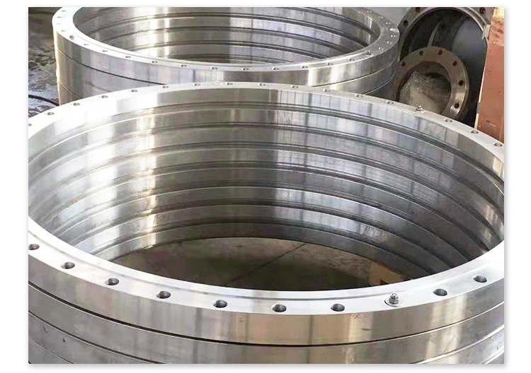 Stainless Steel Pipe Flanges Ring Long Welding Neck Anchor Flange