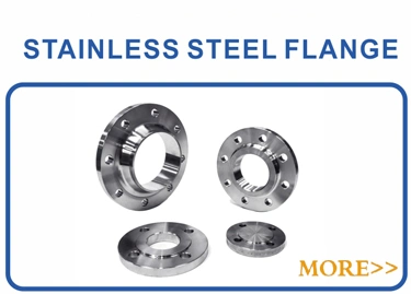 ANSI B16.5 DN600 Class150 Forged Stainless Steel Lap Joint Threaded Flange