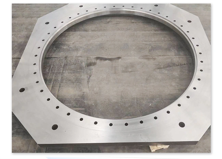 Stainless Steel Pipe Flanges Ring Long Welding Neck Anchor Flange