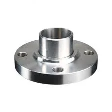 Stainless/Duplex/Alloy/Carbon Steel Ljf Lap Joint Flange